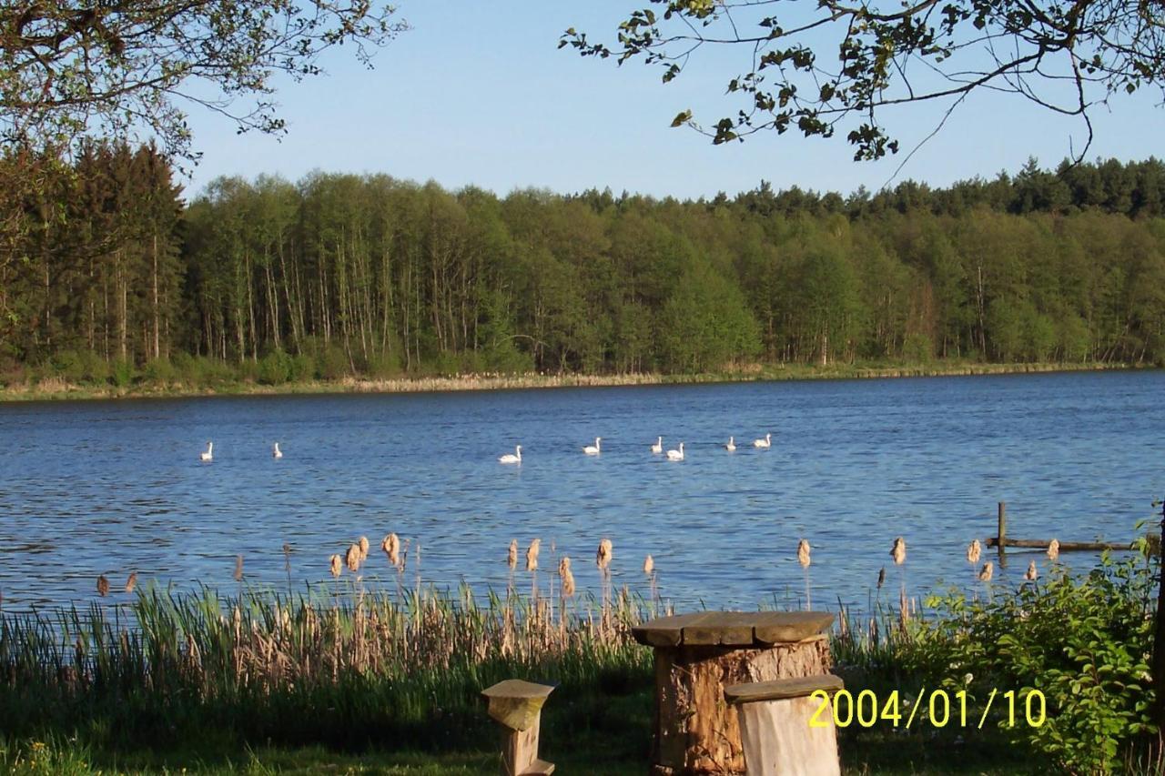 Agroturystyka Nad Jeziorem Sopien Brzozie Exteriér fotografie
